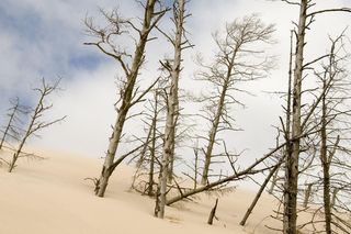 Ruchome wydmy w zimowej szacie. Tak Bałtyk zaskakuje poza sezonem!