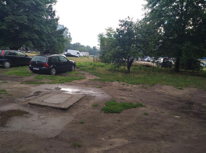 Wzdłuż parkingu Centrum Handlowego Arena wyrosną drzewa