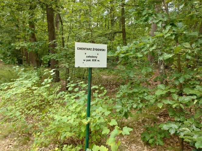 Pomorskie. Zdewastowano cmentarz żydowski w Skarszewach