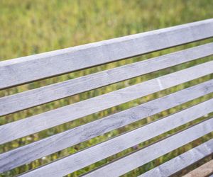 1000 drzew, 100 tysięcy krzewów i ogród zmysłów