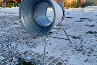 Tanie choinki w okolicach Olsztyna 2024. Kiedy i gdzie można kupić? Jakie ceny?