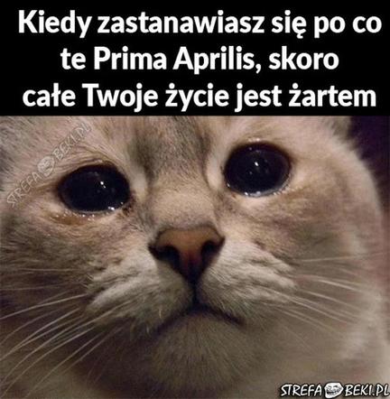 Prima Aprilis 2021. Zobacz najlepsze memy! [GALERIA]