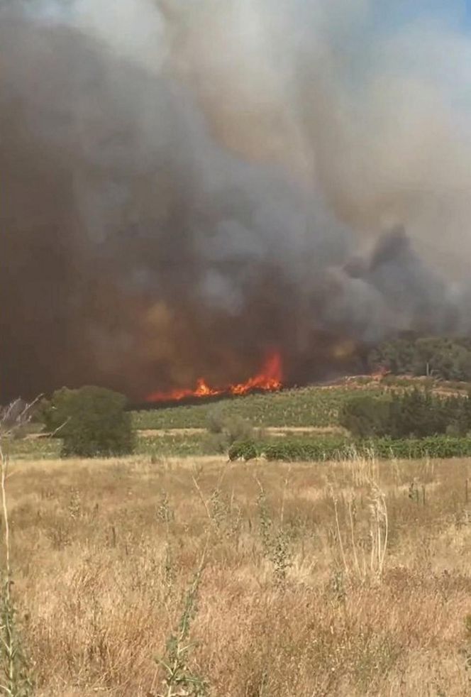 Fala upałów w Europie! "Centra chłodzenia" powstają w miastach
