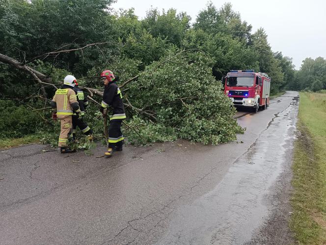 Gwałtowne burze przeszły nad woj. śląskim