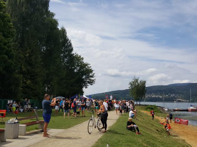 I Festiwal Psów Ratowniczych na plaży miejskiej w Żywcu