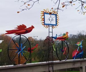 Ogniste Ptaki w Parku Kasprowicza w Szczecinie