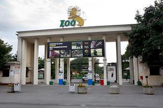 ZOO Wrocław ma nowego prezesa. Podział kompetencji zamiast konkursu