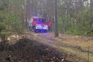 Walczyli z pożarem dwa dni! W akcji gaśniczej strażakom pomagali mieszkańcy!