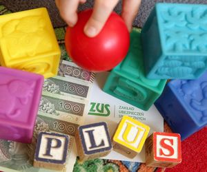 800 plus dla dziadków? To „pokoleniowa rekompensata” dla seniorów 