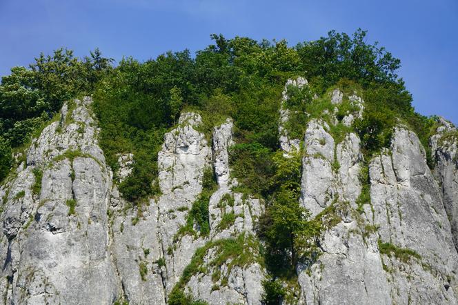 Najpiękniejsza dolina blisko Krakowa. To miejsce idealne na wakacyjną wycieczkę w ciszy i spokoju