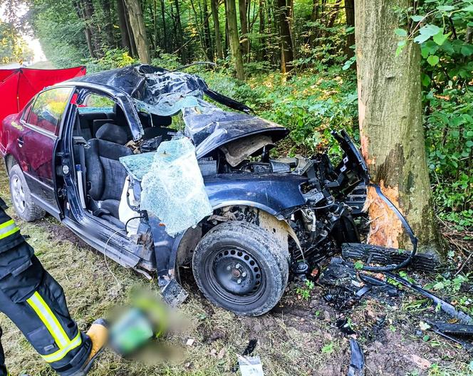 Lubelskie: Tragedia na drodze. Na miejscu zginął 32-letni kierowca samochodu 