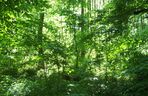 3. Wielkopolski Park Narodowy