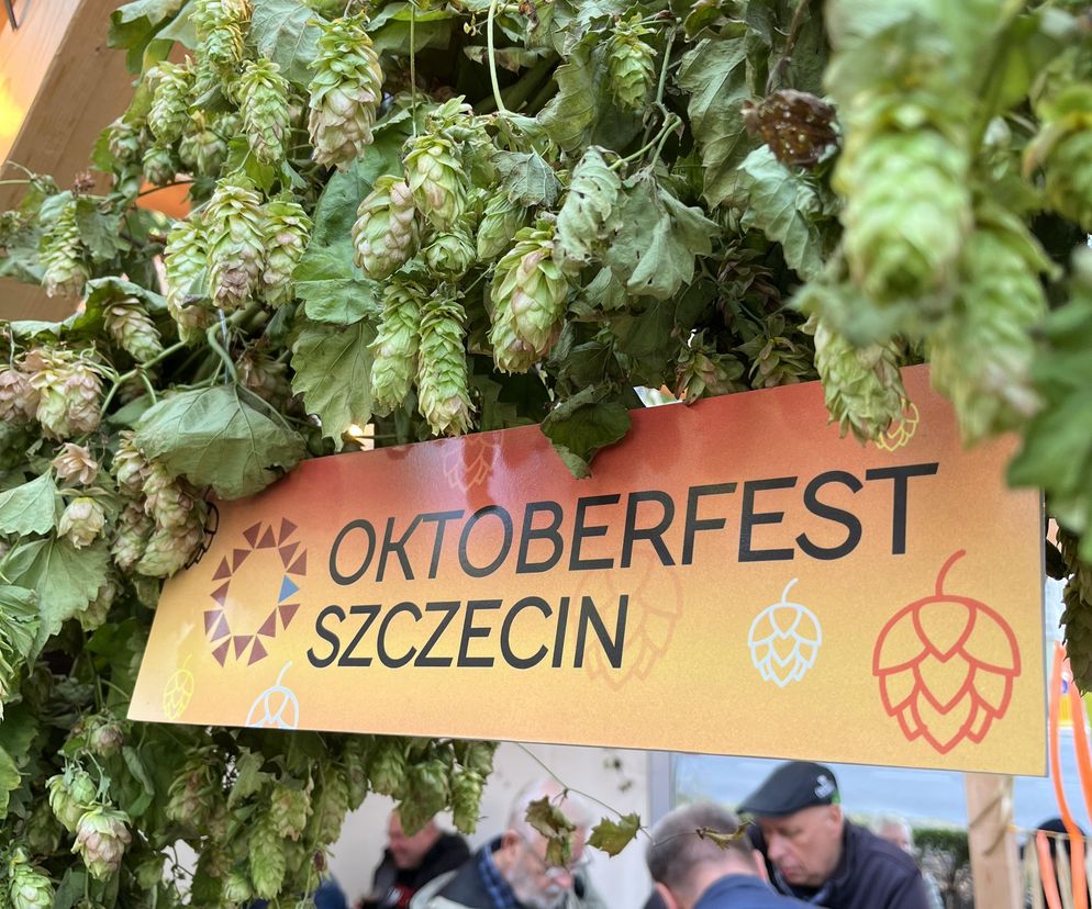 Tak wygląda Oktoberfest 2024 w Szczecinie. Mnóstwo miłośników piwa