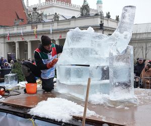 Poznań Ice Festival 2024 