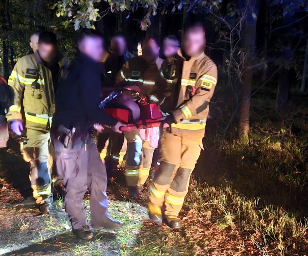 Poszedł na grzyby i prawie umarł. Poszukiwania trwały całą noc