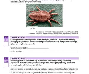 Matura 2024: biologia. Arkusze CKE i odpowiedzi. Poziom rozszerzony [Formuła 2023]