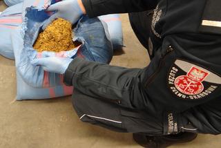 Praca w Podkarpackim Urzędzie Celno-Skarbowym. 50 wolnych stanowisk! 