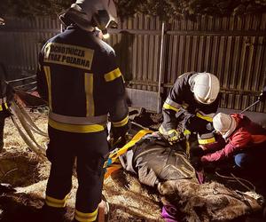 Strażacy z Solca Kujawskiego stawiali konia na nogi! Nietypowa interwencja na wagę życia