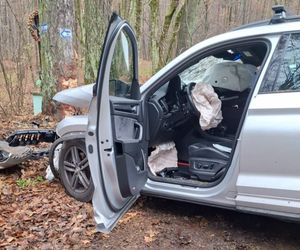 Skoda z dwiema osobami w środku uderzyła w drzewo. 4-letnie dziecko trafiło do szpitala