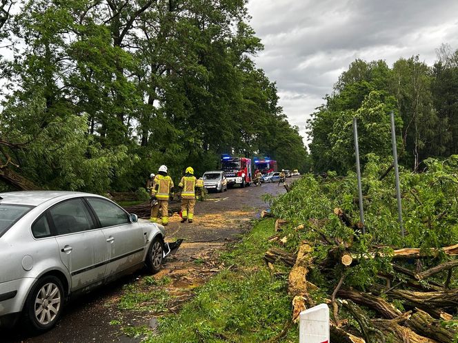 Potężne burze nad Polską. Drzewa spadały na samochody, setki interwencji straży pożarnej 
