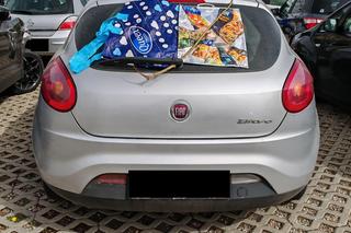 Zostawili psa w rozgrzanym aucie. Interweniowali strażnicy miejscy