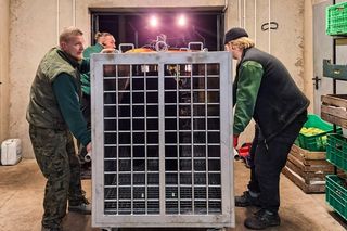 Mieszkaniec Częstochowy trzymał niedźwiedzia w niewoli. Trafił do zoo w Poznaniu