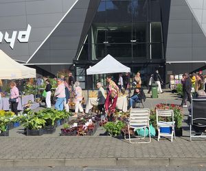 Jesienny Kiermasz Ogrodniczy w Bydgoszczy przyciągnął miłośników zieleni i smakołyków!