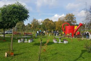 Pastwisko dla koni w Sosnowcu