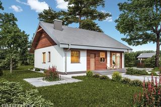 C333p Miarodajny wariant XV - wizualizacje, plany, rysunek