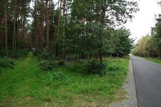 Puszcza Zielonka i Jezioro Głębocko