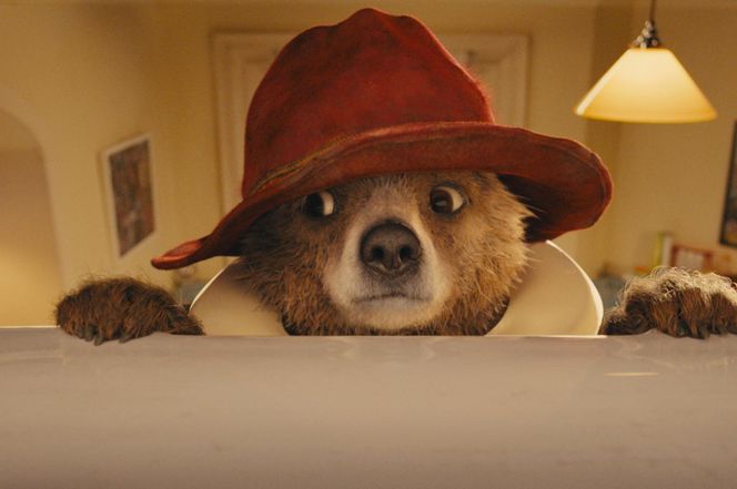 Miś Paddington