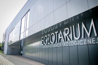 Sosnowieckie Egzotarium zorganizuje warsztaty ze storytellingu. Wydarzenie już w najblizszą niedzielę