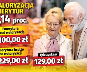 Waloryzacja emerytur 6,14 proc.