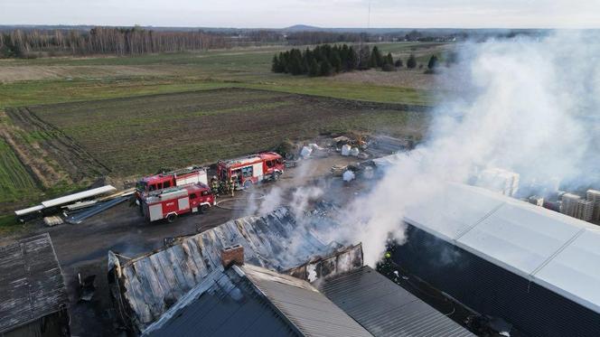 Pożar hal murowanych w Nowinach ZDJĘCIA