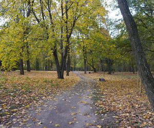 Park Lubomirskich w Białymstoku jesienią 