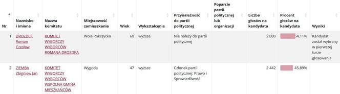 Wybory samorządowe 2024. Sprawdź, jak głosowano w gminach powiatu piotrkowskiego [GALERIA]