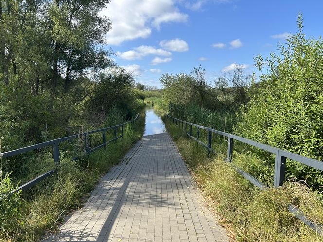 Łynostrada w Olsztynie zalana. Będą naprawy, a może i kładka!