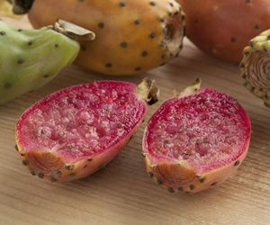 Opuncja figowa - właściwości i zastosowanie. Pomaga na infekcje grzybicze