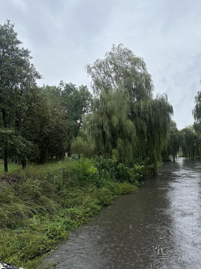 Brynica woj. śląskie - Sosnowiec, Stawiki