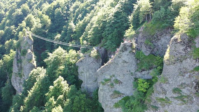 Niesamowity most linowy TYLKO DLA ODWAŻNYCH