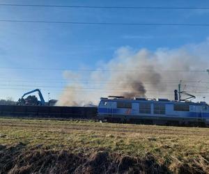 Pali się składowisko odpadów w Przysiece Polskiej