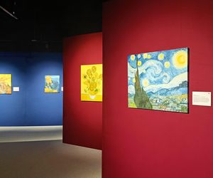 Wystawa VAN GOGH – The Immersive Exhibition w Szczecinie