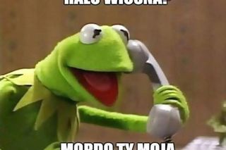 Wiosna 2025: Memy opanowały internet! Zobacz najzabawniejsze memy na powitanie wiosny [21.03.2025]