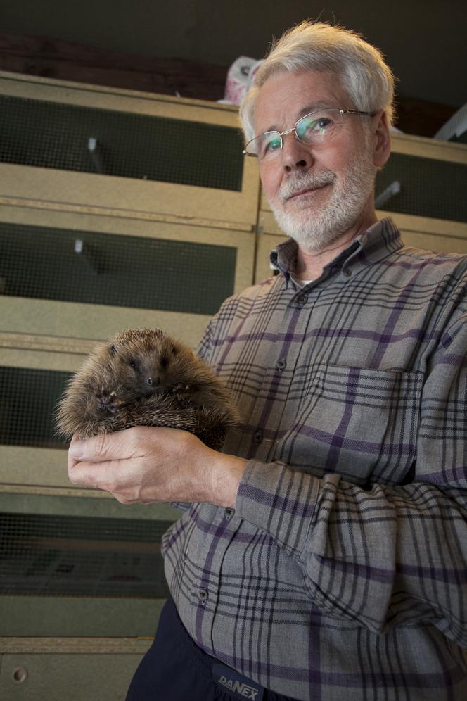 Pan Jerzy obrońca jeży
