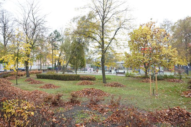 Park im. Cyryla Sroczyńskiego we Wronkach 