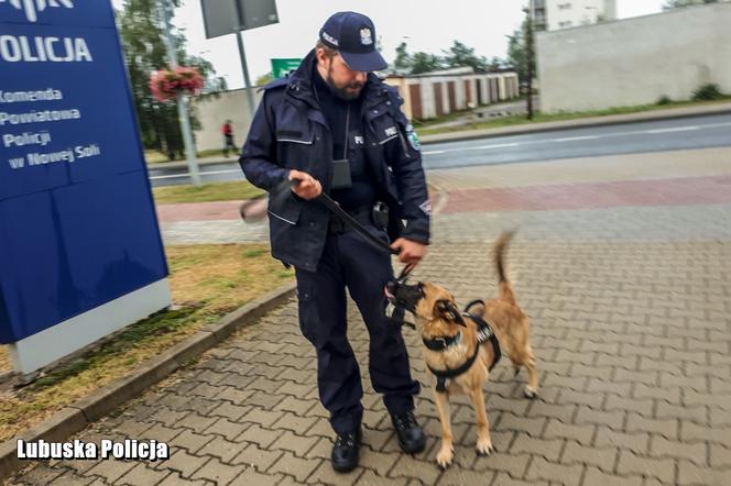 Policyjne psy w Lubuskiem - LIGA (Nowa Sól)