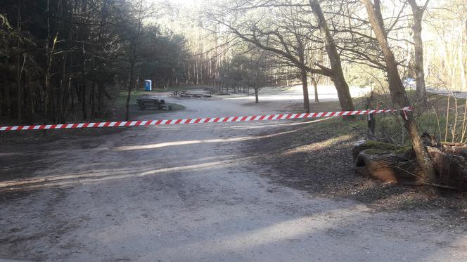 Zakaz wstępu do lasów miejskich w Szczecinie