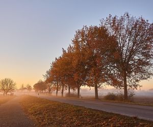 Nadchodzą mgły, a temperatury mogą zaskoczyć. Eksperci o najnowszej prognozie 