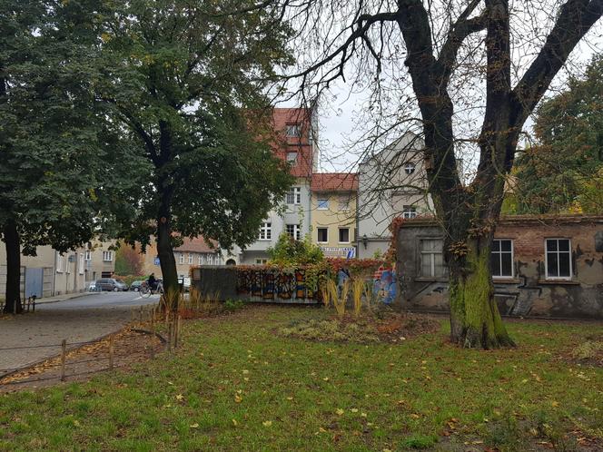 Rośliny posadzone, brakuje tylko kilku elementów. Skwer dr. Kuźniaka w Lesznie prawie gotowy