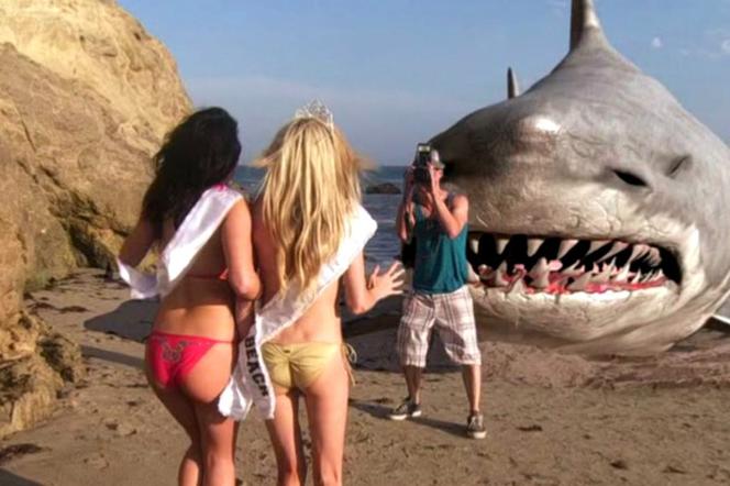 Najbardziej żenujące filmy o rekinach. Sharknado ma konkurencję!